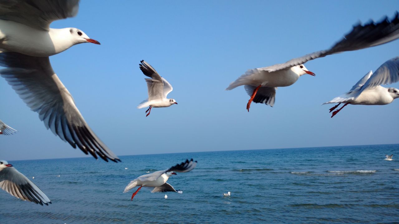 Binz
