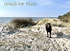 Urlaub mit Hund
