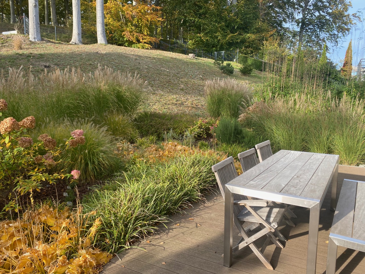 Villa Louisa Octopussy