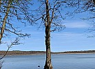 Rügen